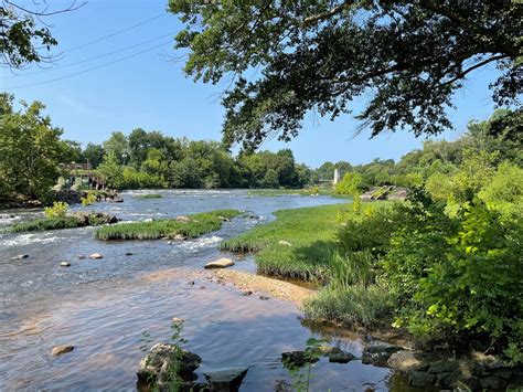 The patient guide for visiting gleaf colonial heights 25