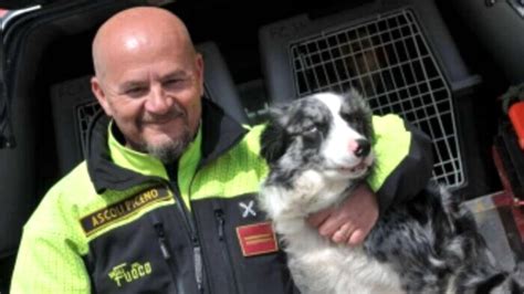 Morta Galassia Il Cane Eroe Dei Vigili Del Fuoco Ha Salvato Persone