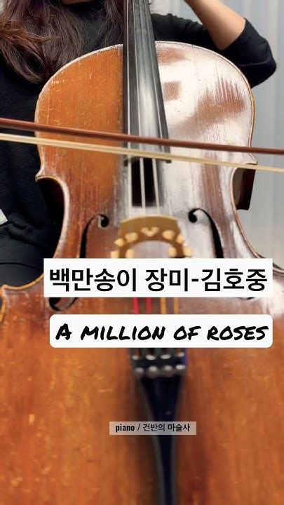 백만송이 장미김호중 A Million Of Roses Shorts 김호중 Youtube