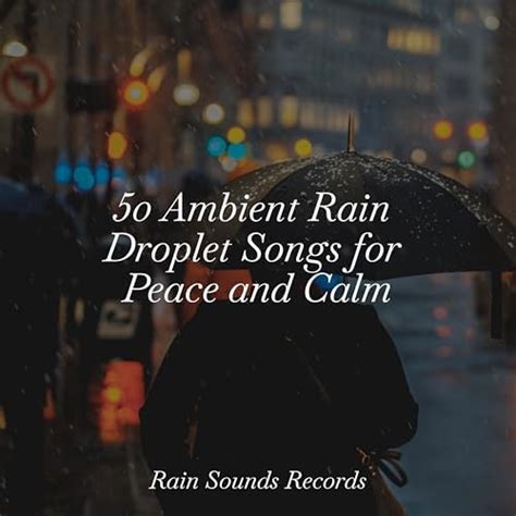 Spiele Ambient Rain Droplet Songs For Peace And Calm Von Sonido Del