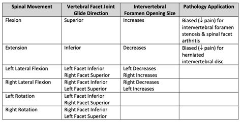 Are Physical Anatomical Models Effective In Teaching Anatomy