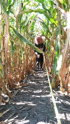 What You Need To Know About Broadcasting Cover Crops