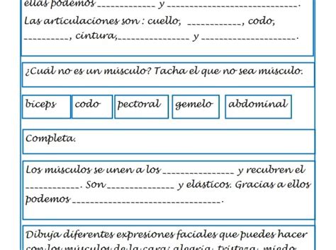 Ejercicios De Conocimiento Del Medio Para Segundo Primaria