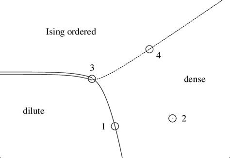 Qualitative Phase Diagram Of The O N Loop Model On The Square Lattice