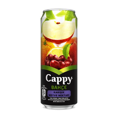 Cappy Karışık Meyve Nektarı Kutu 330 ML