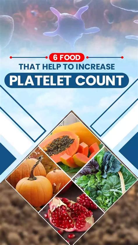 Top 6 Foods To Increase Blood Platelets