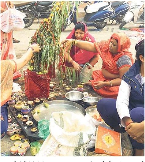 Amla Tree Was Worshiped With Wishes For Health And Comforts स्वास्थ्य सुख सुविधाओं की कामना