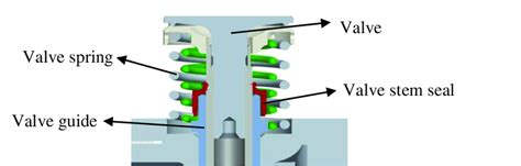 valve stem seal parts  scientific diagram