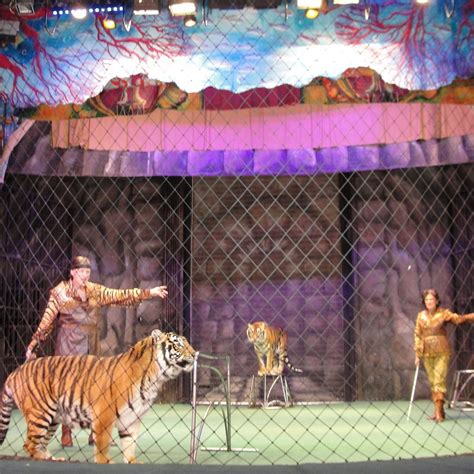 Durov Animal Theatre (Moscow): All You Need to Know
