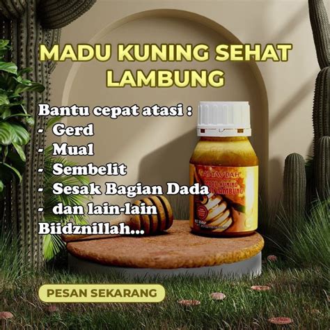 Jual Madu Kuning Sehat Lambung Attaubah Gram Obat Sakit Ulu Ati