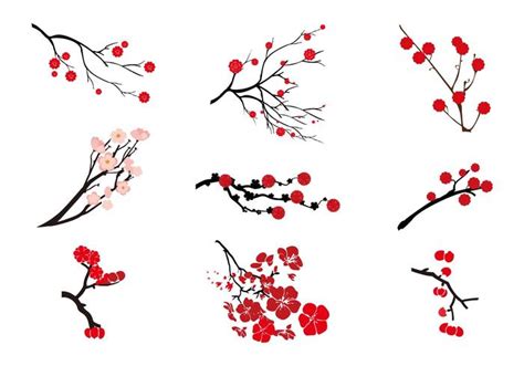 Plum Blossom Vector Vector Art At Vecteezy