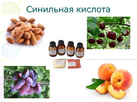 Синильная кислота - Химия