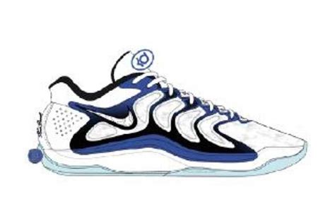 Nike Kd Fj Nice Kicks