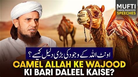 Oonth Camel Allah Ke Wajood Ki Barhi Daleel Kaise Mufti Tariq