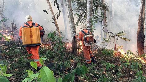 Incendios En El Amazonas Experto Misionero Explicó Que La Zona De Quemas Llegó Al área De