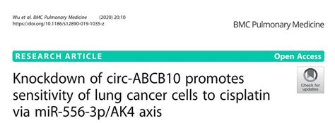 Knockdown Of Circ ABCB10 Promotes Sensitivity Of Lung Cancer Cells To