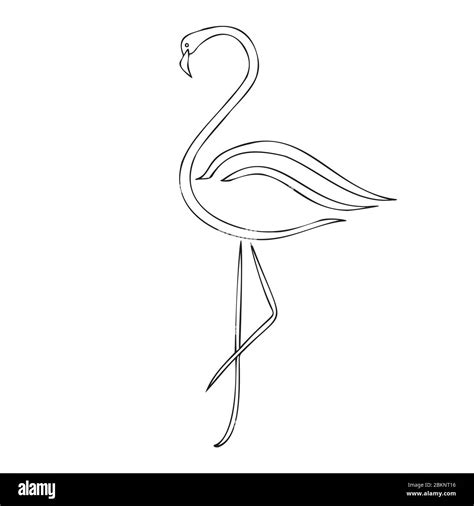 Vector Cartoon Pink Flamingo Black And White Stock Photos And Images Alamy