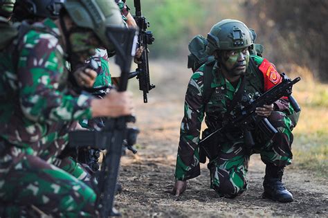 Latihan Perang Gabungan Tni Di Situbondo Perang Usai Musuh Takluk