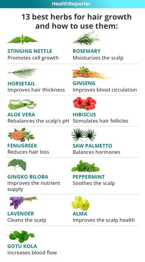 13 Best Herbs for Hair Growth: How to Use Them | Health Reporter