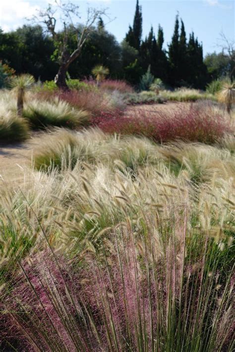 Piet Oudolf Naturalistic Gardens In Netherlands Germany Artofit