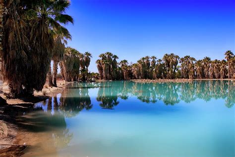 Agua Caliente Park Tucson Photograph By Chris Smith Pixels