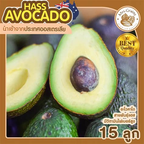 อะโวคาโด Avocado อะโวคาโด้ 15 ลูก อะโวคาโดนำเข้า Avocado Hass Australia อะโวคาโดสด สายพันธุ์ แฮส