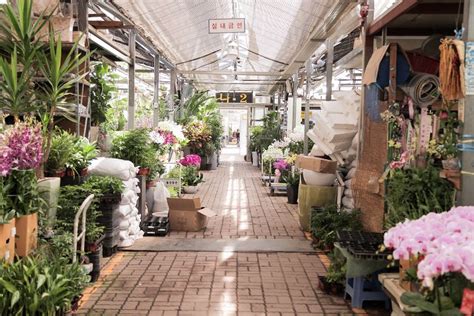 Seoul Flower Market Tour Floral Design Class Seoul Pass