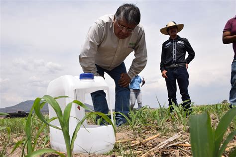 Impulsa Gobierno De México Acciones Para Disminuir La Deforestación Y