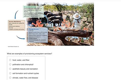 [Solved] What are examples of provisioning ecosystem services ...