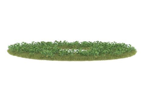 Grass Circle Pngs For Free Download