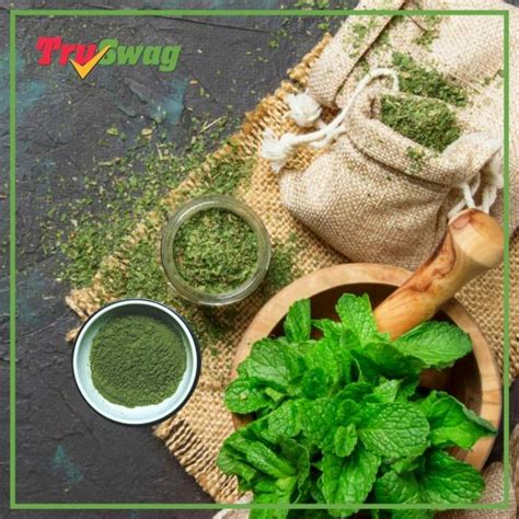 See Inside Truswag Green Spinach Leaf Powder For Natural And Dehydrated