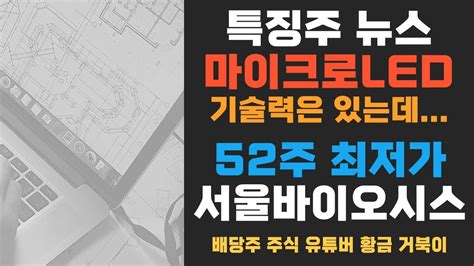 서울바이오시스 특징주 뉴스 마이크로led 기술력은 있는데 52주 최저가 Youtube