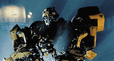 Bumblebee GIFs - Find & Share on GIPHY