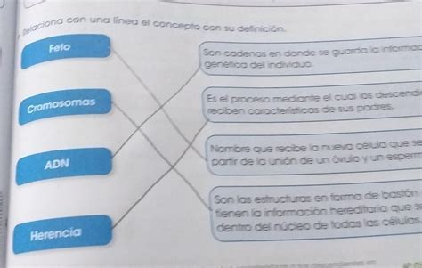 relaciona con una línea el concepto con su definición Brainly lat