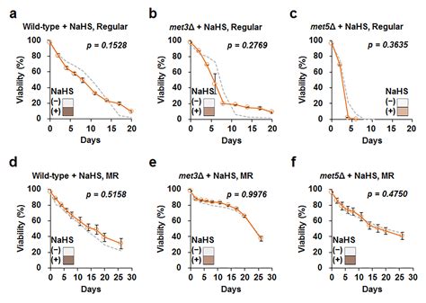 Sulfate Assimilation Regulates Hydrogen Sulfide Production Independent