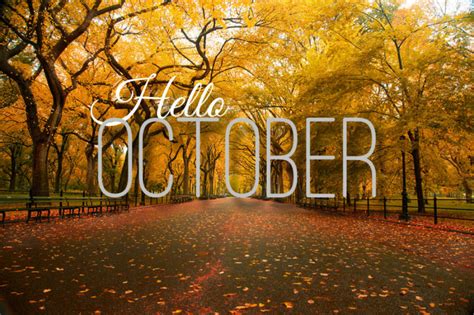 Fun Facts Gear Up For October Holidays The Lakeside Collection
