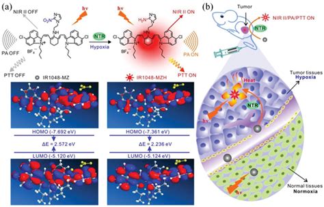 The Hypoxiatriggered Nirii Fluorescence Probe For Tumor Diagnosis And