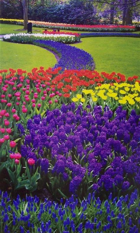 Solve De Keukenhof In Nederland Jigsaw Puzzle Online With 135 Pieces