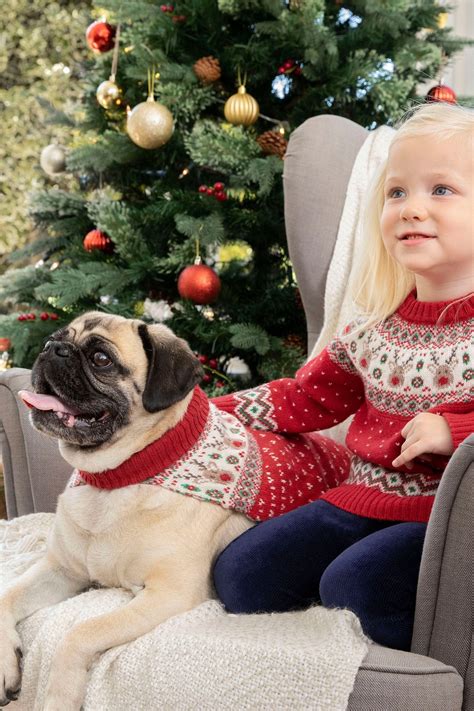 Buy JoJo Maman Bébé Red Reindeer Fair Isle Pets Jumper from the Next UK