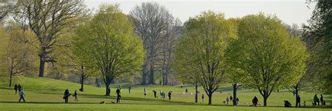 Jobs at Parks : NYC Parks