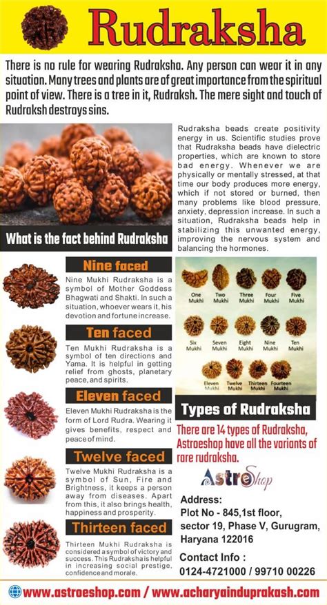 Benefits Of Wearing Rudraksha Rudraksha Rudraksh Astrology