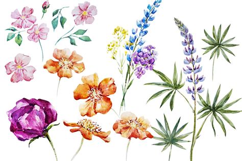 Watercolor Summer Flowers Vector Psd By Lembriks Artworks