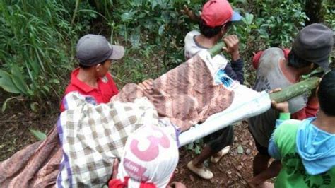 8 Fakta Babi Hutan Serang Pria Paruh Baya Hingga Tewas Di Banjarnegara