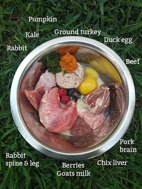 Barf Diet For 45lb Dog Raw Dog Food Recipes