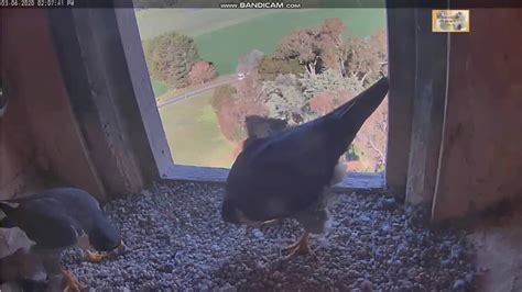 Orange Nsw 03 06 2020 2 Youtube