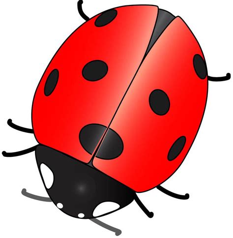 Clipart Panda - Free Clipart Images