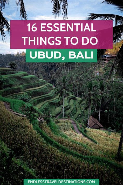 16 Very Best Things To Do In Ubud Bali Endless Travel Destinations