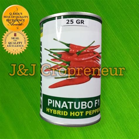 PINATUBO F GRAMS LARGE CAN HYBRID HOT CHILI LABUYO PEPPER BY CONDOR SEEDSbuy Take