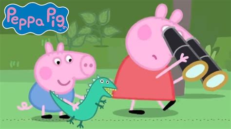 Peppa Pig And George Explore The Outdoors 🐷🌿 Peppa Pig Official