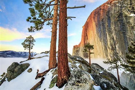 Half Dome In Valley Fog Photograph By Eric Rasmussen Fine Art America